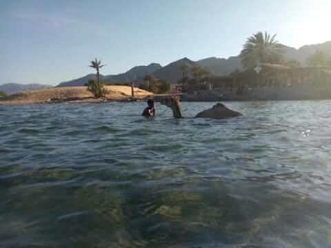 Hostel Sebaii Camp السباعى كامب شاطئ الترابين بجوار ويت بالس Nuweiba` Exterior foto