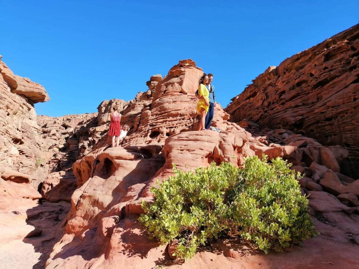 Hostel Sebaii Camp السباعى كامب شاطئ الترابين بجوار ويت بالس Nuweiba` Exterior foto