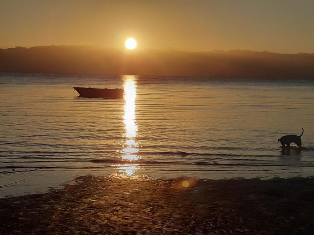 Hostel Sebaii Camp السباعى كامب شاطئ الترابين بجوار ويت بالس Nuweiba` Exterior foto